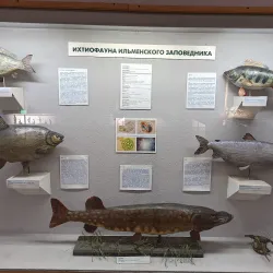 Ilmensky Mineralogical Museum - Miass