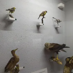 Ilmensky Mineralogical Museum - Miass