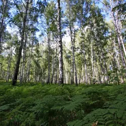 Ilmensky State Reserve - Miass