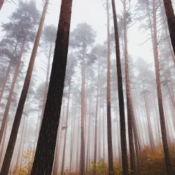 Lake Turgoyak - Miass