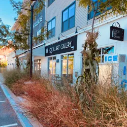 Miass Local Art Gallery - Miass