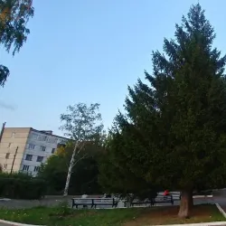 Mozhga Central Park - Mozhga