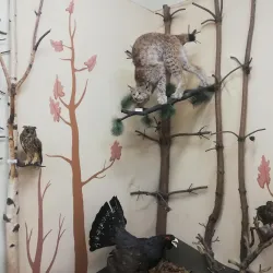 Mozhga Local History Museum - Mozhga