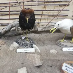 Mozhga Local History Museum - Mozhga