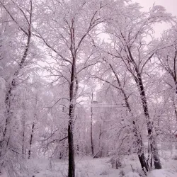 Mozhga Sports Complex - Mozhga