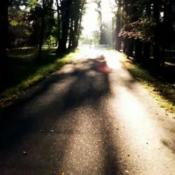 Mozhga Sports Complex - Mozhga