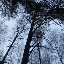 Mozhga Sports Complex - Mozhga