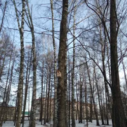 Mozhga Sports Complex - Mozhga