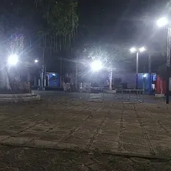 An image showcasing the beauty of Muravlenko