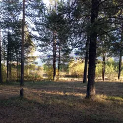 Muravlenko Town Park - Muravlenko