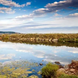 Ob River - Muravlenko