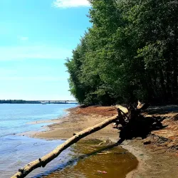 Ob River - Muravlenko