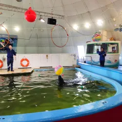 Murmansk Oceanarium - Murmansk