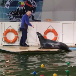 Murmansk Oceanarium - Murmansk