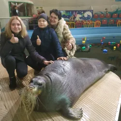 Murmansk Oceanarium - Murmansk