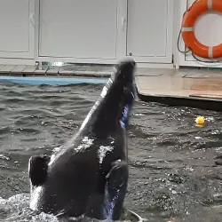 Murmansk Oceanarium - Murmansk