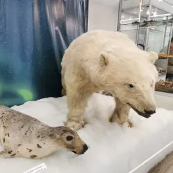 Murmansk Regional Museum of Local Lore - Murmansk