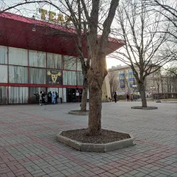 Mytishchi Drama Theater - Mytishchi