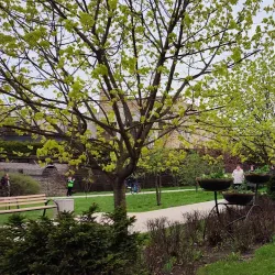 Mytishchi Park - Mytishchi