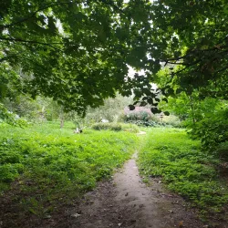 Mytishchi Park - Mytishchi