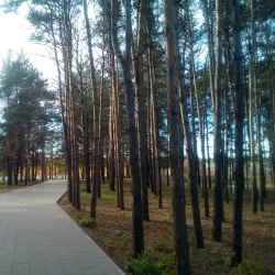 Central Park of Culture and Leisure - Naberezhnye Chelny