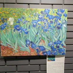 Naberezhnye Chelny Art Gallery - Naberezhnye Chelny