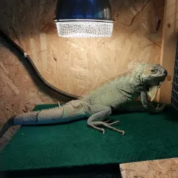 Nadym City Park - Nadym