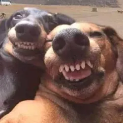 Neftekamsk Local History Museum - Neftekamsk