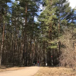 Sosnovy Bor Park - Neftekamsk