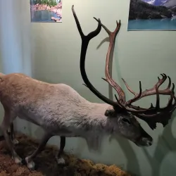 Nefteyugansk Oil Museum - Nefteyugansk