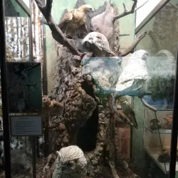 Nefteyugansk Oil Museum - Nefteyugansk