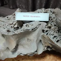 Nefteyugansk Oil Museum - Nefteyugansk