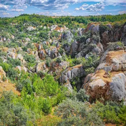 Old Wooden Houses of Nev'yansk - Nev'yansk
