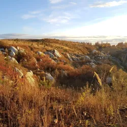 Old Wooden Houses of Nev'yansk - Nev'yansk