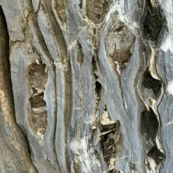 Old Wooden Houses of Nev'yansk - Nev'yansk