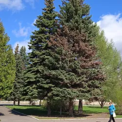 Nizhnekamsk Museum of Local Lore - Nizhnekamsk