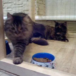 Nizhnekamsk Museum of Local Lore - Nizhnekamsk