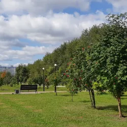 Nizhnekamsk Park of Culture and Leisure - Nizhnekamsk