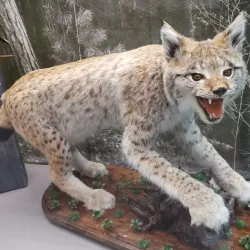 Museum of Oil Industry - Nizhnevartovsk