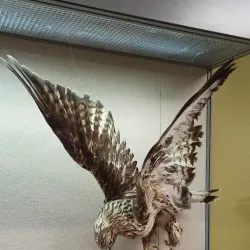 Museum of Oil Industry - Nizhnevartovsk