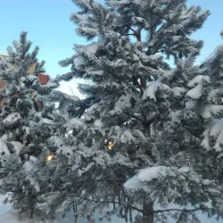 Nizhnevartovsk Drama Theater - Nizhnevartovsk