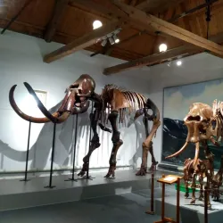 Nizhny Tagil Historical and Architectural Complex - Nizhny Tagil