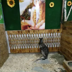 Nizhny Tagil Zoo - Nizhny Tagil