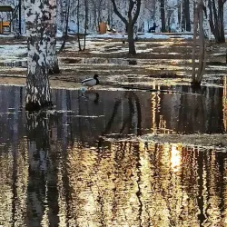 Victory Park - Nizhny Tagil