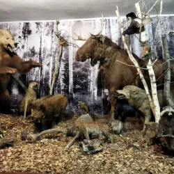 Noginsk Textile Factory Museum - Noginsk