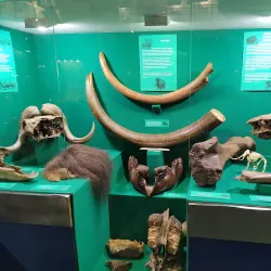 Norilsk Museum of Local Lore - Noril'sk