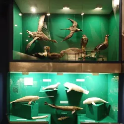 Norilsk Museum of Local Lore - Noril'sk