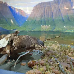 Norilsk Museum of Local Lore - Noril'sk