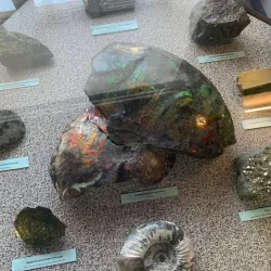 Talnakh Museum - Noril'sk