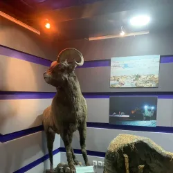 Talnakh Museum - Noril'sk